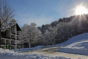 Winter in Obersaxen