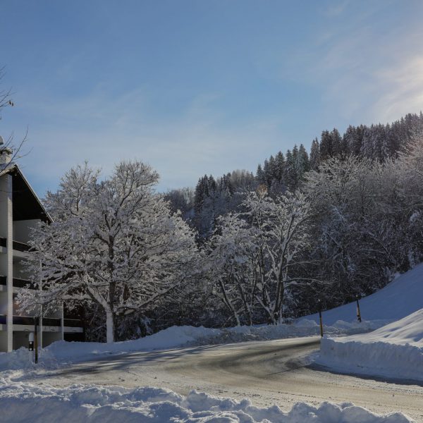 Winter in Obersaxen