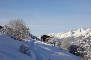 Winter in Obersaxen