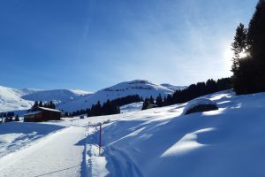 Winter in Obersaxen