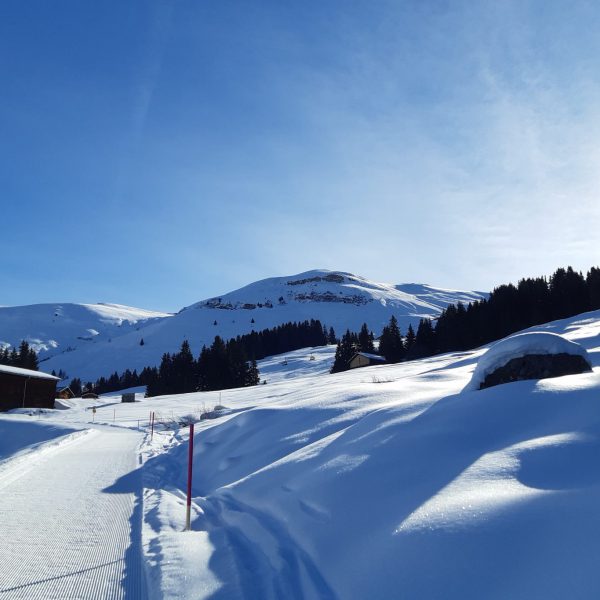 Winter in Obersaxen