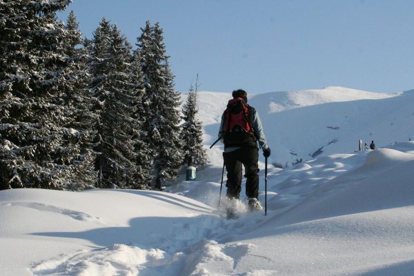 Ski tours