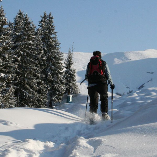 Ski tours