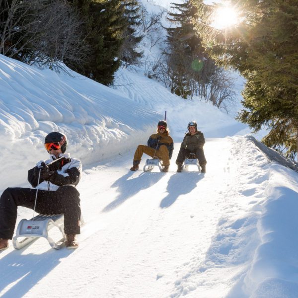 Sledging